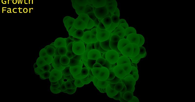 Area-1255: IGF-1 Vendors 2017 (Best 5 IGF-1 Vendors 2017)