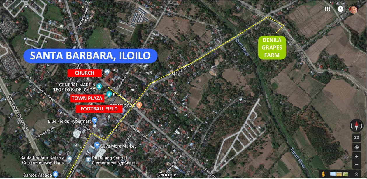 Sta Barbara Iloilo Map Grapes Picking At Denila Farms In Santa Barbara, Iloilo