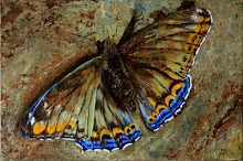 Vlinder acryl op doek