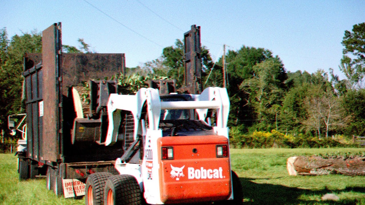 Kingstree, South Carolina Tree Choices