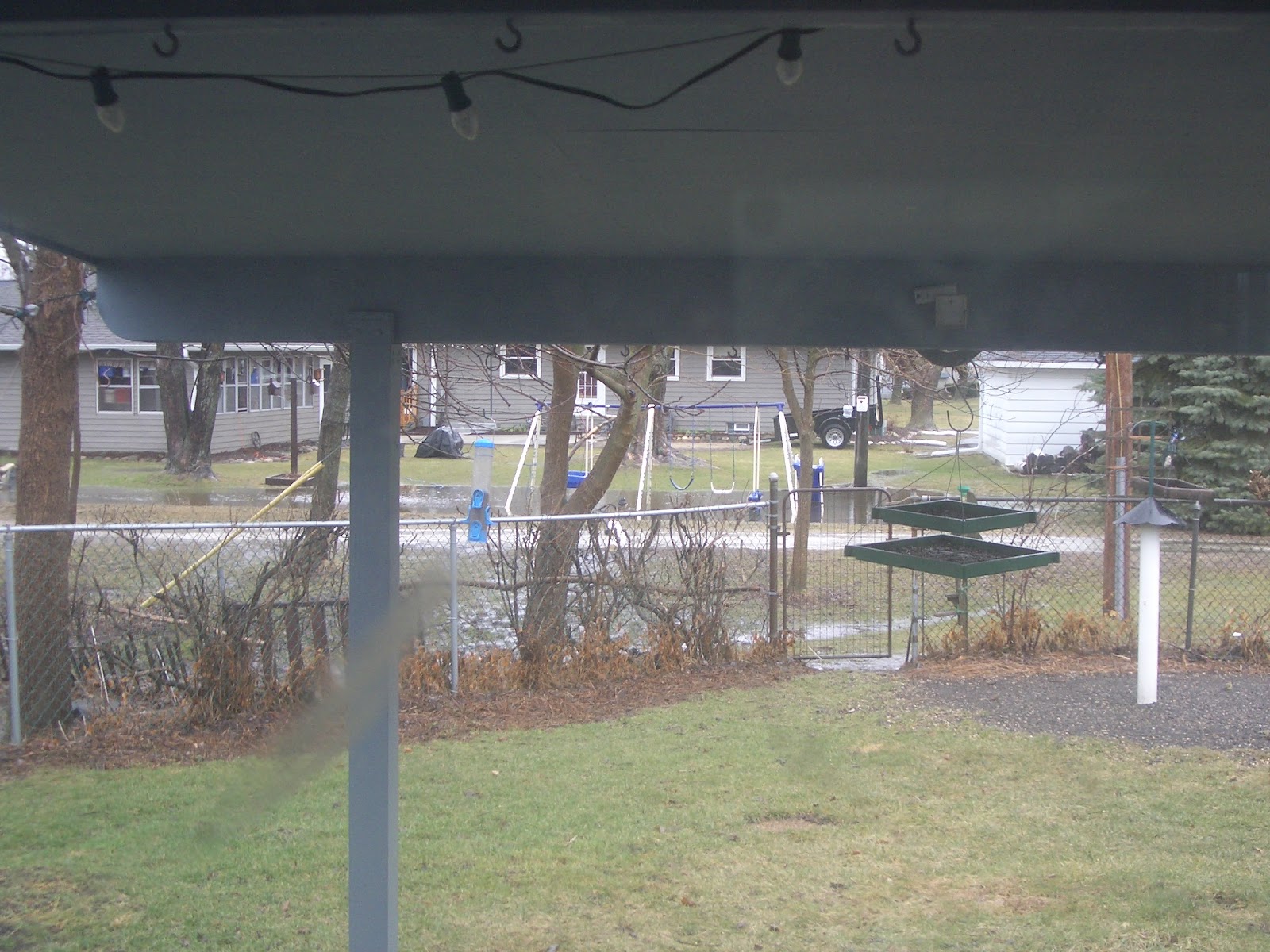 JUST DUCKY! More Soggy