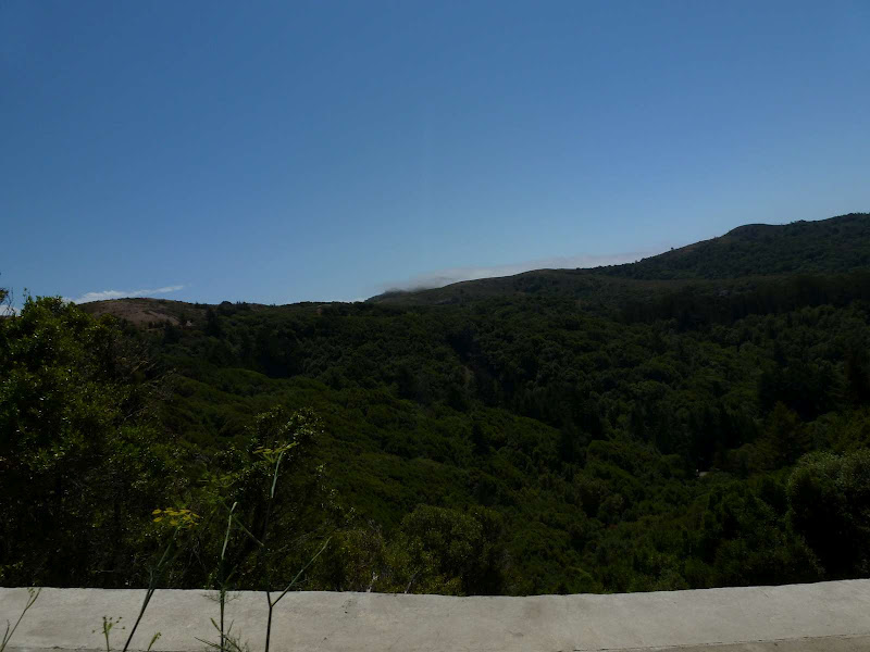 11: Muir Woods - Golden Gate - Driving me ... USA (9)