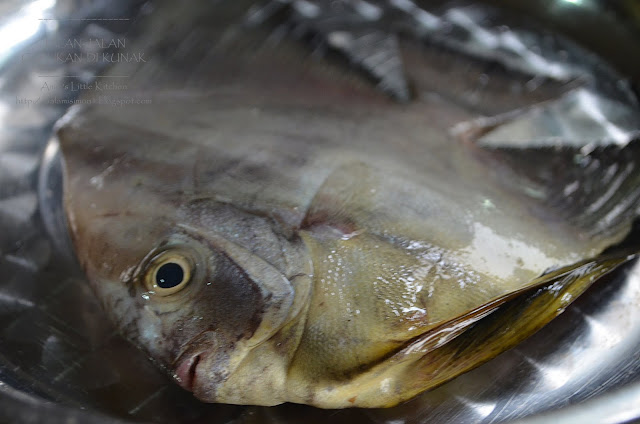 Amie S Little Kitchen