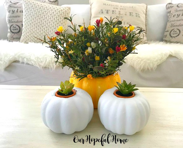 orange ceramic pumpkin fall flowers white pumpkins succulent