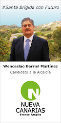 Wenceslao Berriel Martinez