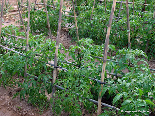 QUIRUSILLAS...TIERRA HERMOSA: ECONOMIA