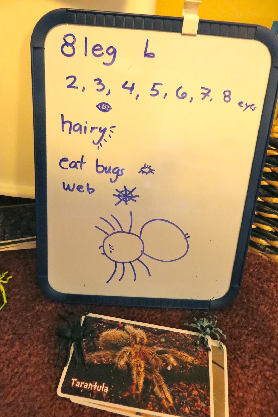 Ms. Sara's Preschool Blog Summer Camp Spiders