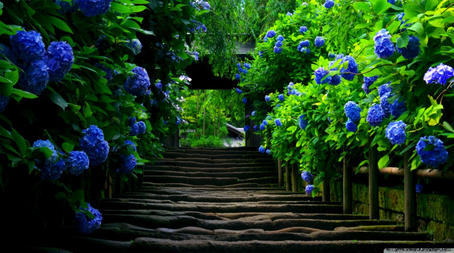 Japanese Garden   Stairs HD desktop wallpaper  Widescreen  High