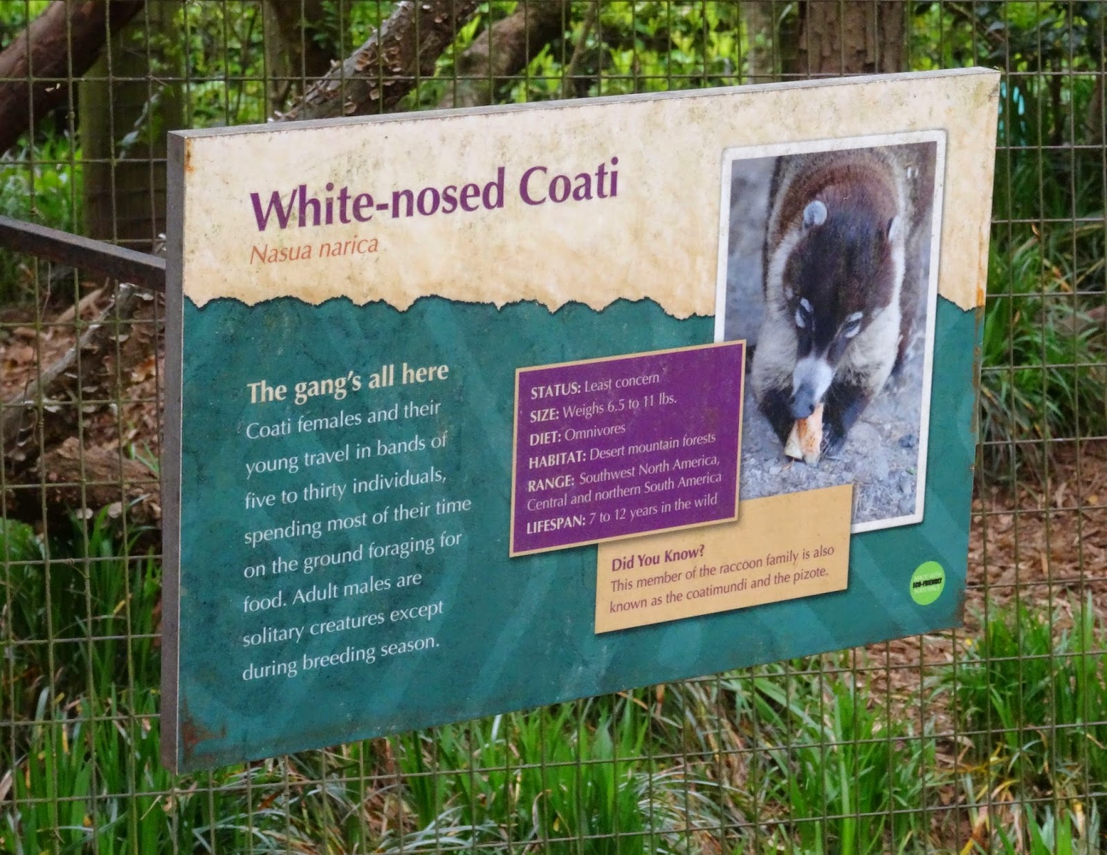 Femme au foyer The best small zoo in America the Greenville Zoo