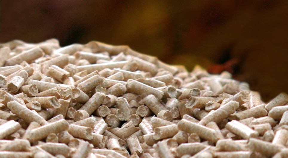 Inovasi Biomasa : Memanfaatkan Panas Limbah Untuk Produksi Listrik , Yang  Digunakan Untuk Menjalankan Pabrik Wood Pellet