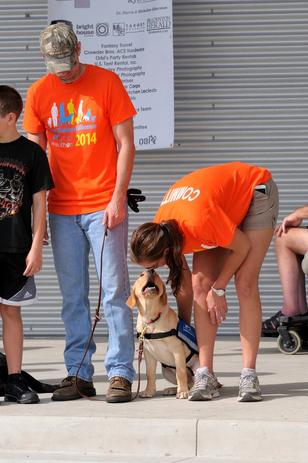 Bradenton Puppy Raisers Bradenton Walkathon 2014 Southeastern Guide Dogs