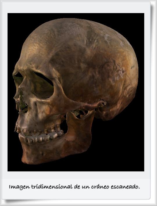 El Investigador: Crean una técnica que permite identificar un cadáver