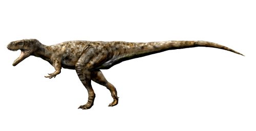 Paleoexhibit: Theropods of the British Isles Part II
