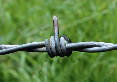 [Image: Barbed-wire.jpg]