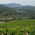 A Wine Tour of Catalonia