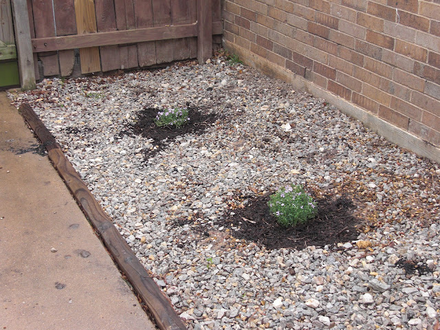 Everyday Adventures: Gardening vs. Gravel