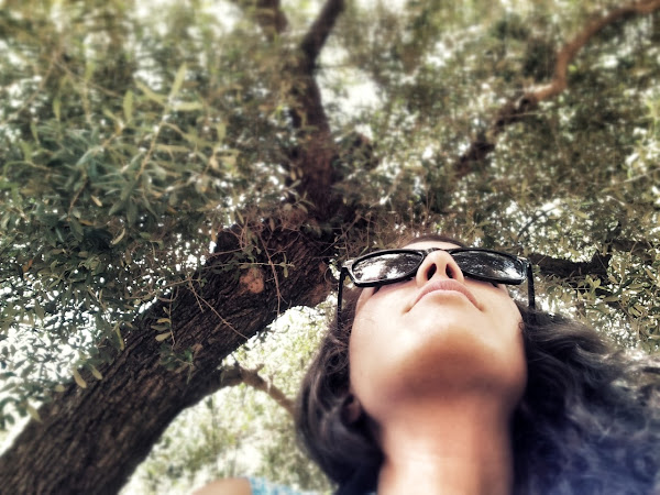Among Olive Trees 
