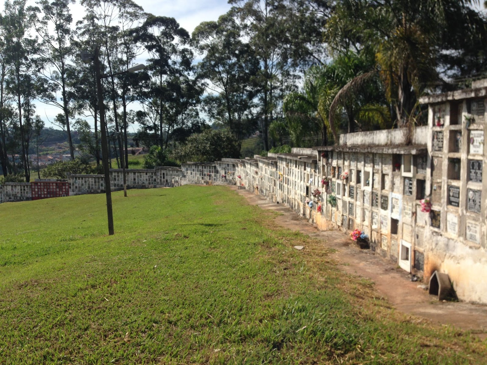 Portfólio Cemitério de Perus tem milhares de ossadas empilhadas em seu subterrâneo Portfólio Cemitério de Perus tem milhares de ossadas empilhadas em seu subterrâneo