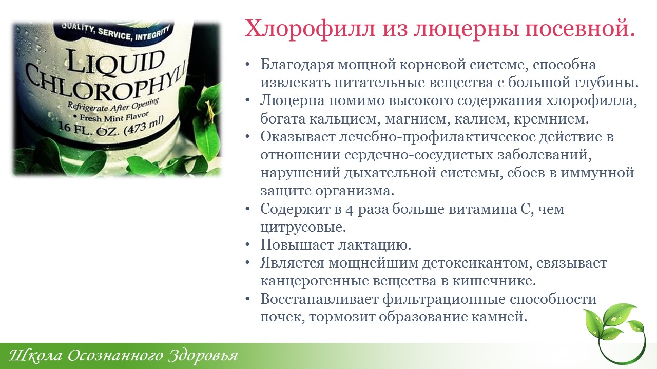 Хлорофилл в хлоропластах растительных. Суспензия хлореллы 1 л. Нау фудс хлорофилл жидкий. Хлорофилл nsp. Хлорофилл айхерб.