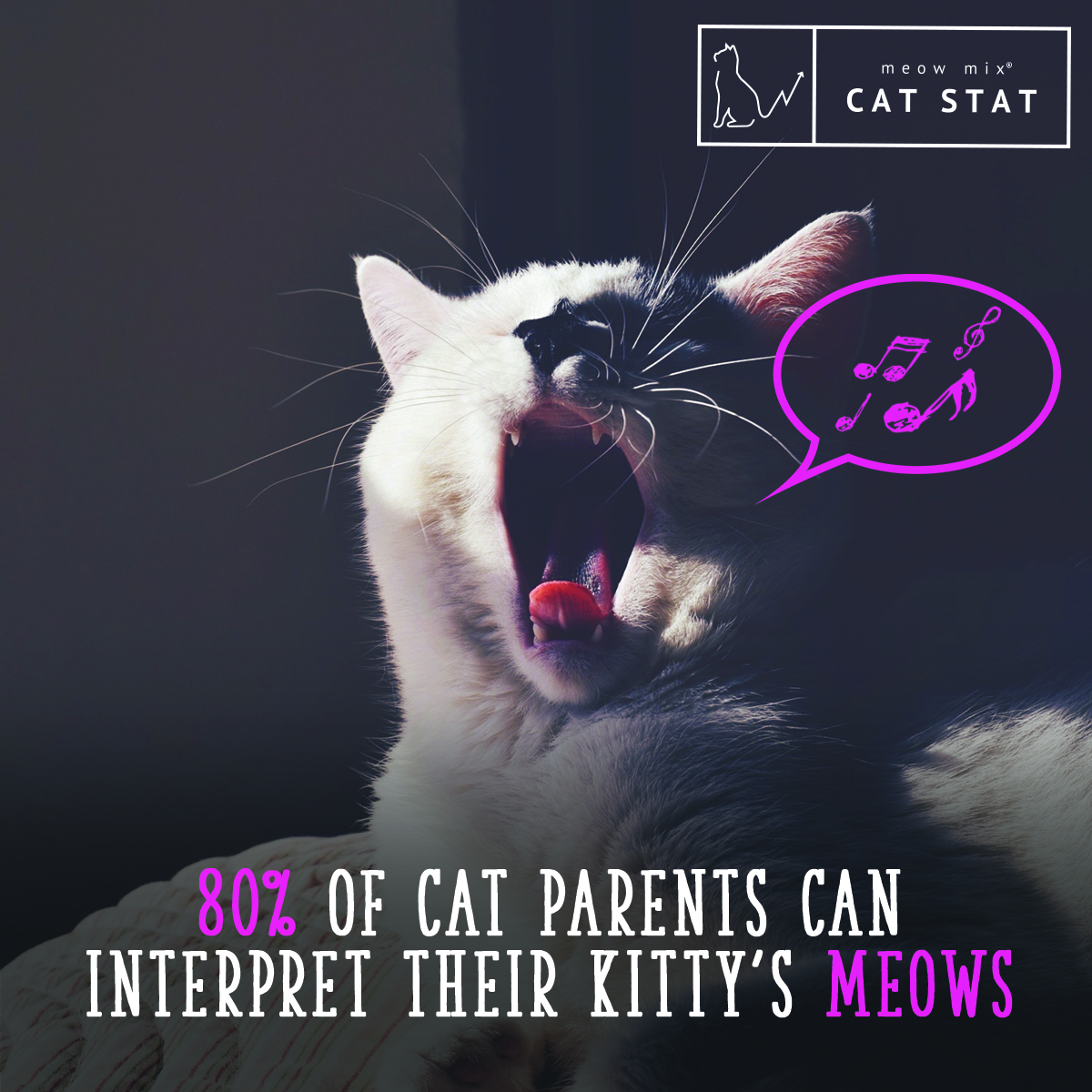 Free Cat Vectors Curly Made