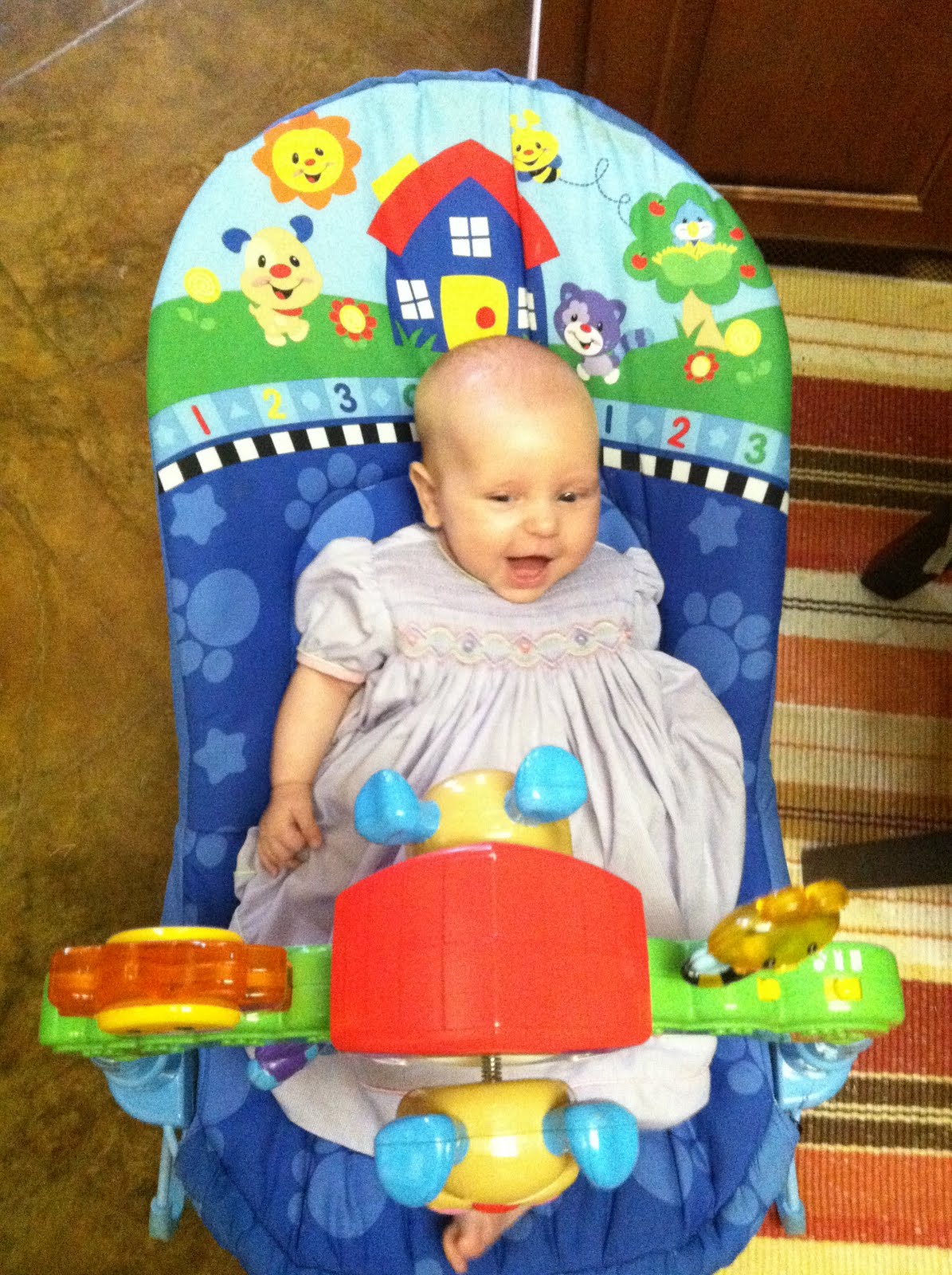 Part of a Bigger Story Bouncy seats aren't just for babies...