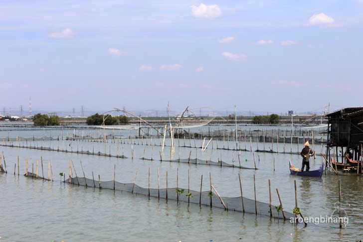 taman mangrove morosari demak