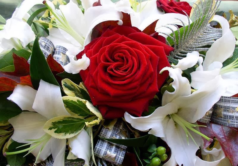 red rose with white flowers