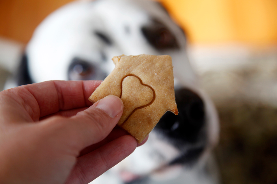 apple cinnamon dog biscuit recipe apple cinnamon dog biscuit recipe