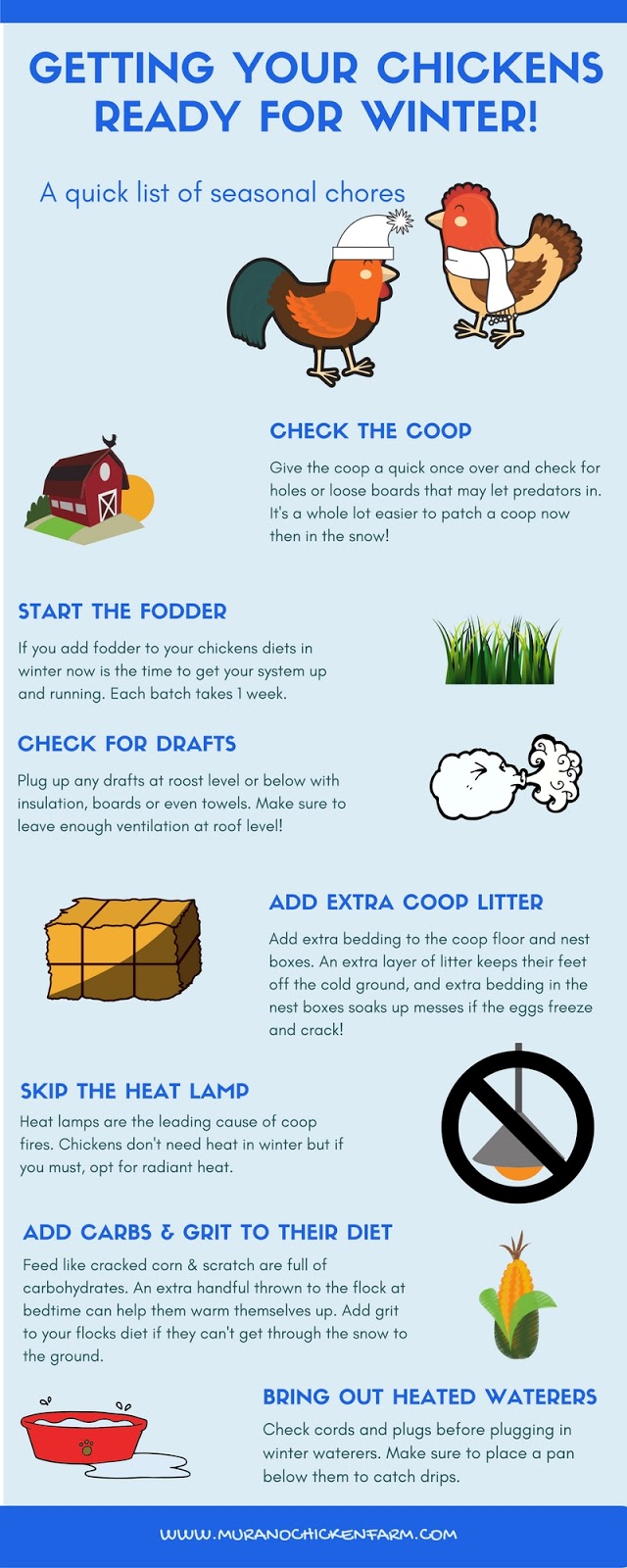 Preparing your chickens for Winter Murano Chicken Farm