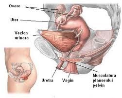 Incontinența urinară - Cauze, diagnostic și tratament