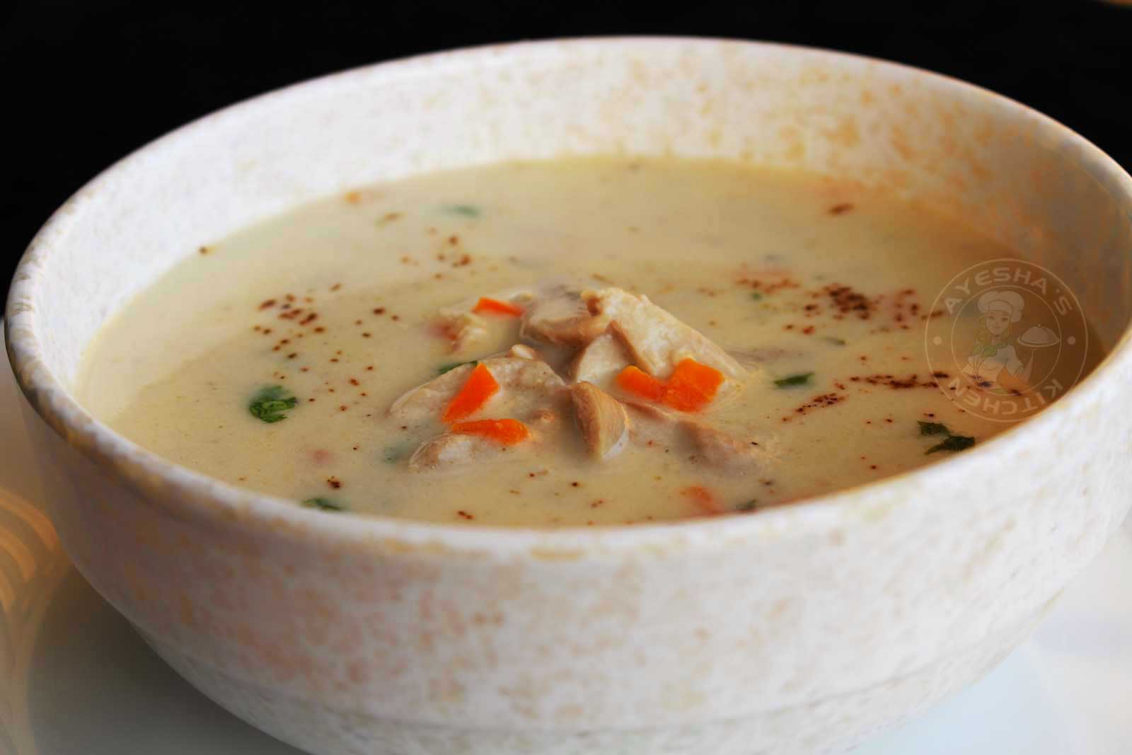 CREAM OF CHICKEN SOUP RECIPE MAKING CHICKEN BROTH AT HOME