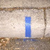 ALERT: If You See A Blue Line On The Curb Outside Your House… This Is What It Means!