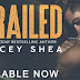Release Day: DERAILED by Kacey Shea 