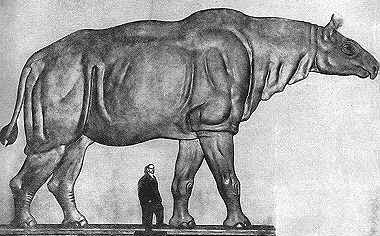Por qué no existen mamíferos terrestres tan grandes como los dinosaurios? –  Ciencia de Sofá