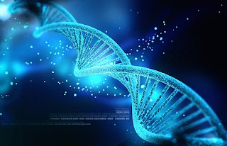 Lufta mbi ADN-në e Njeriut