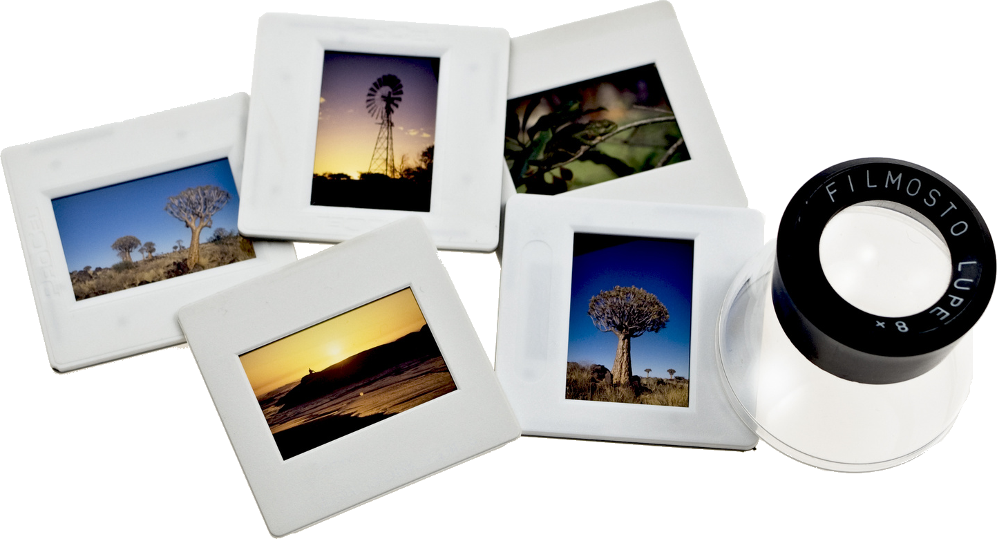 Beginners Guide to Scanning Your Slides Larsen Digital Services