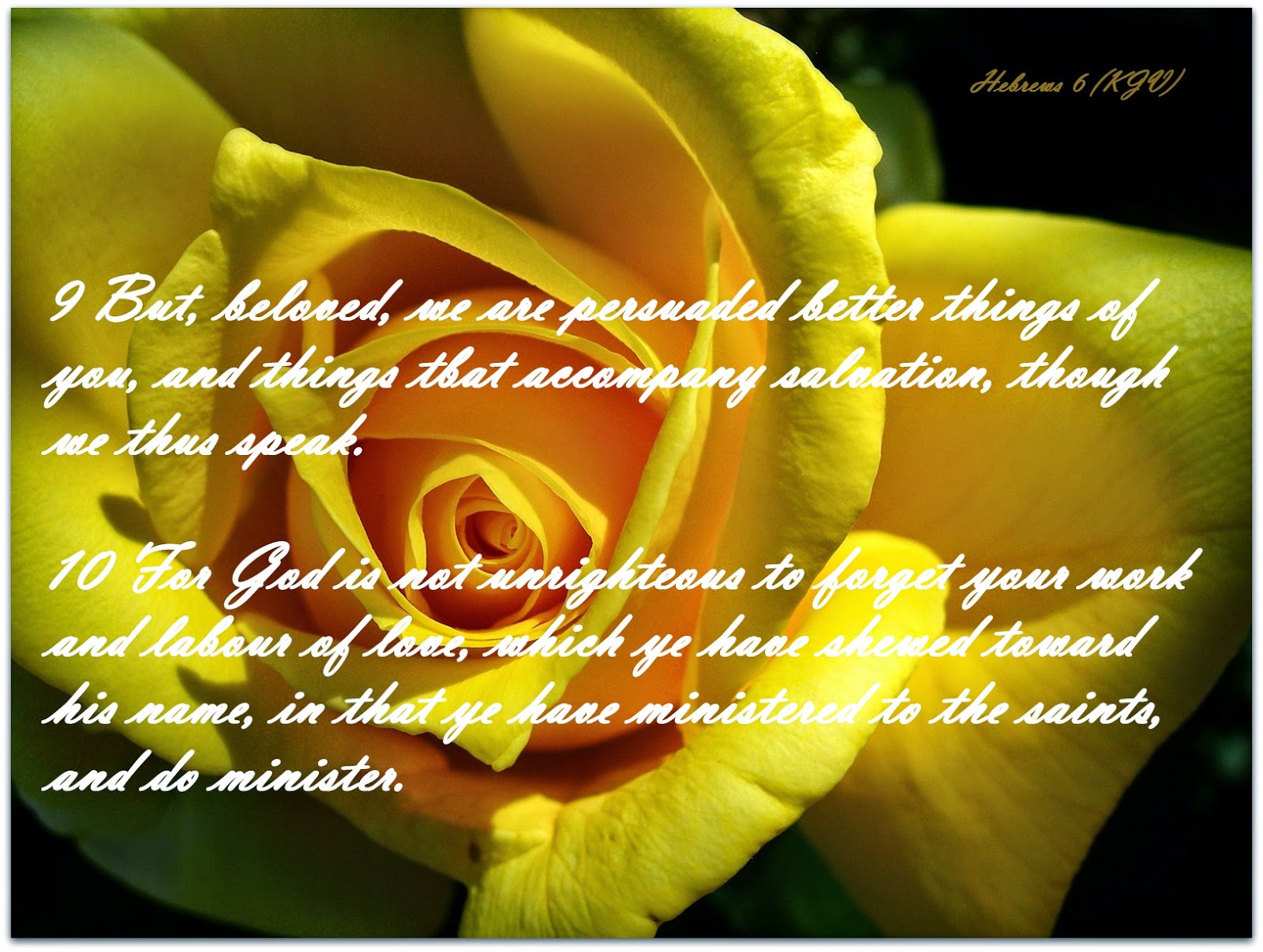 Red Pill Diaries Hebrews 6 (KJV)