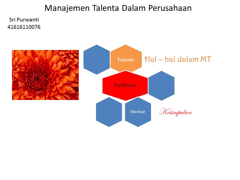 Msdm123 Com Manajemen Talenta Dalam Perusahaan
