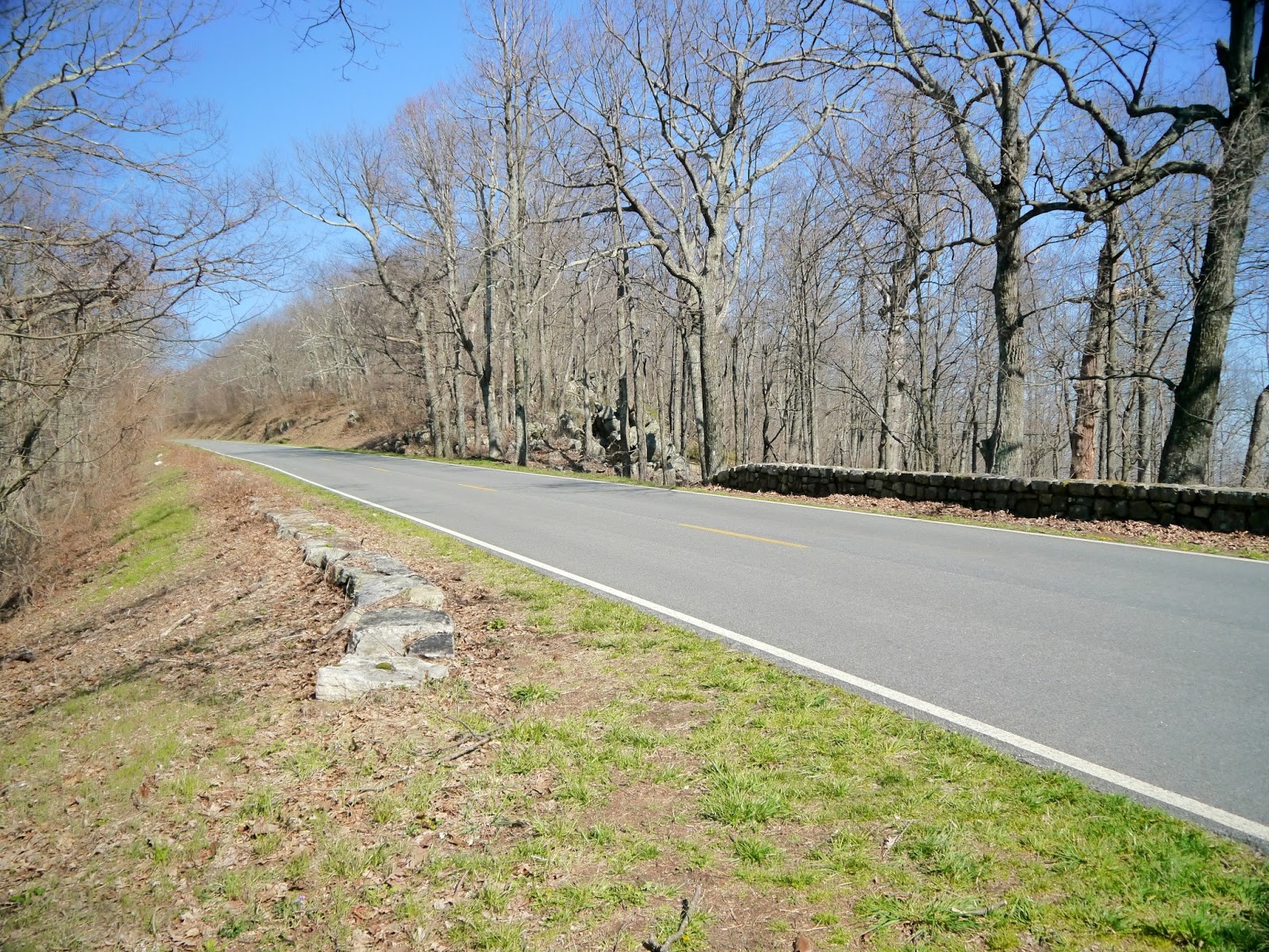 American Travel Journal Browns Gap to Doyles River Cabin Trailhead