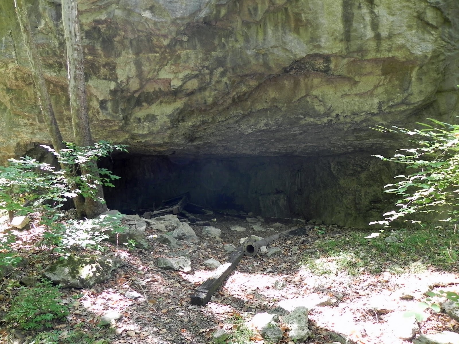 Rock Quarry Trail, Rockwoods Reservation