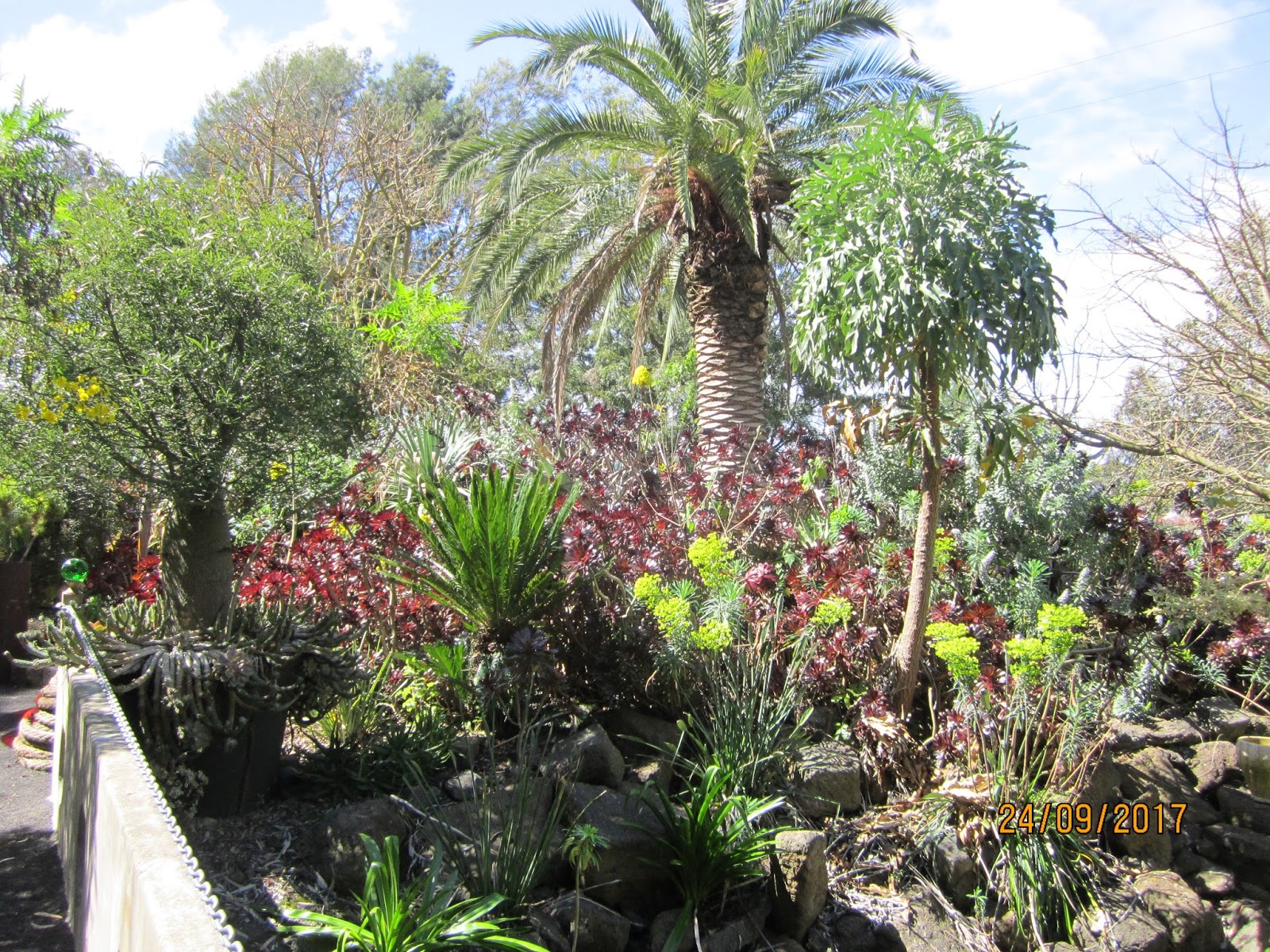 The Niche Nursery Ballarat & Melbourne