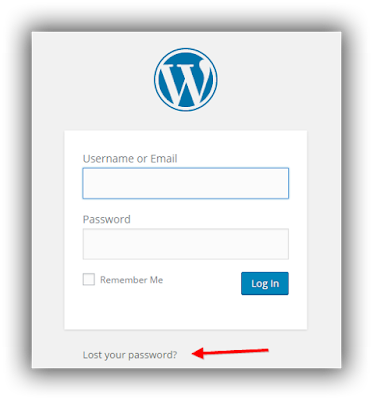 Wordpress Log In