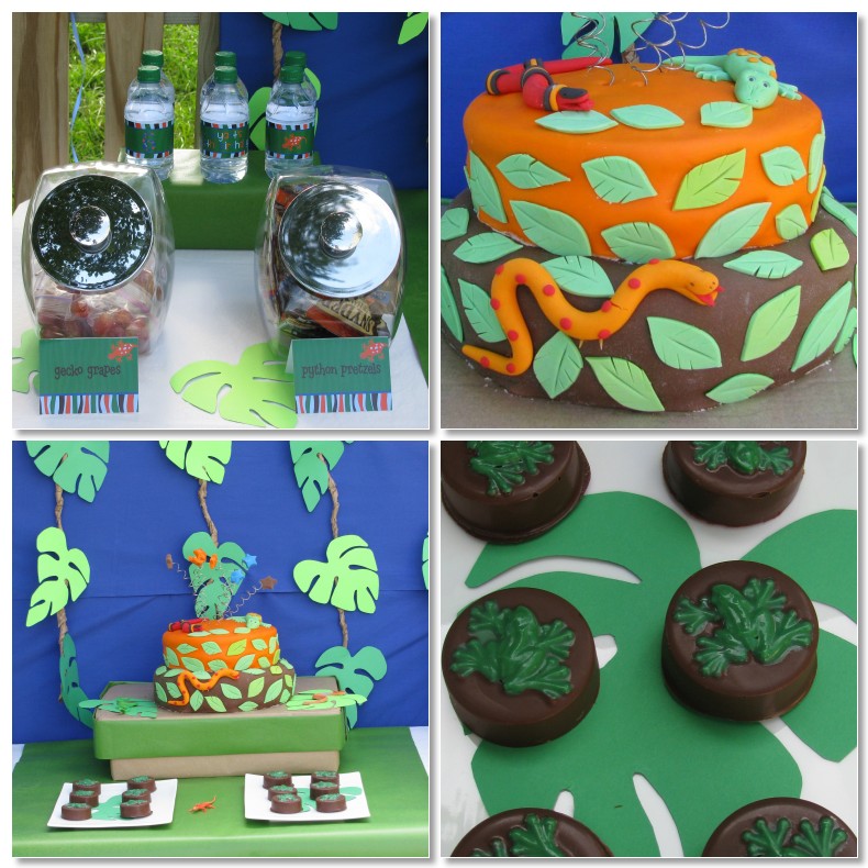 Sheek Shindigs A Reptile and Amphibian Birthday Celebration