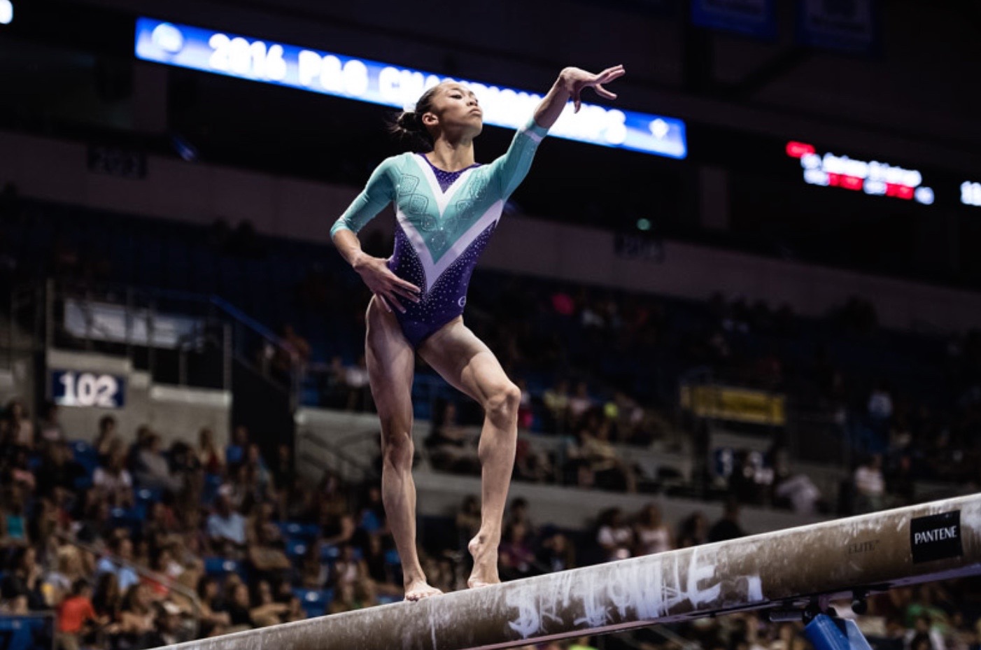 Gymnastics 101 Fly High and Stick the Landing