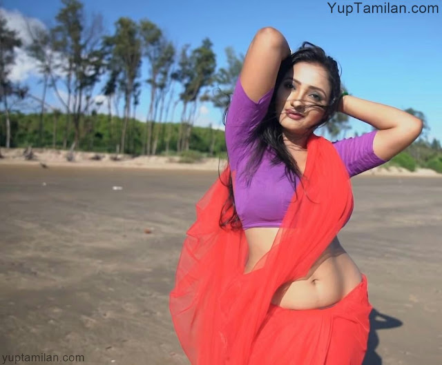 Desi Actress and Models Hot Navel Photos|Sexy Belly Pictures in Saree