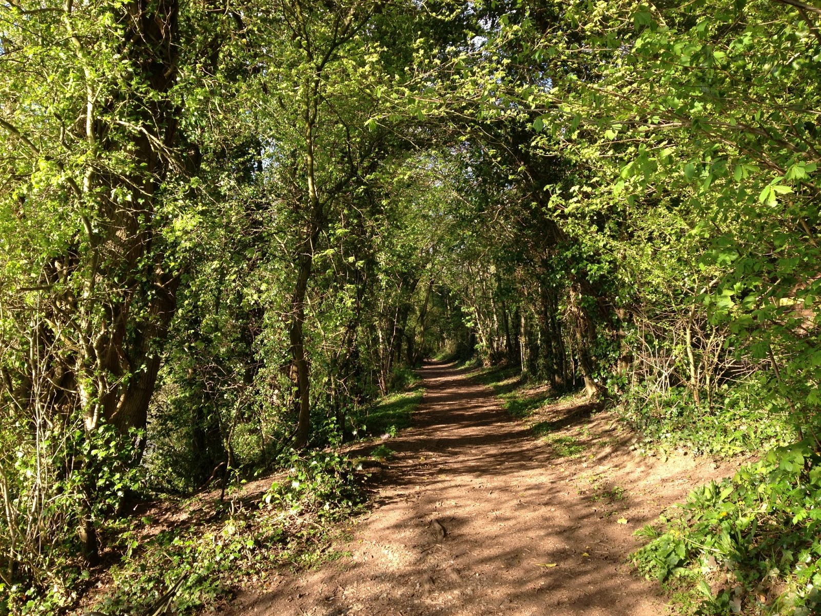 theatre & things 蛇行する川のほとりで―― ヘイオンワイ 4