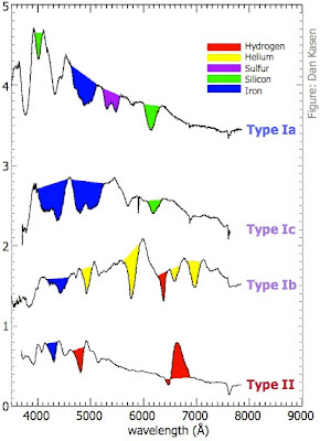 Characteristic spectral features of the different types of supernovae explosions