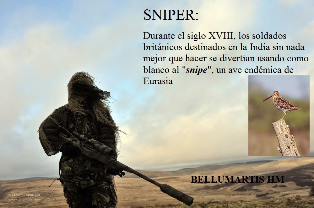 snipers  Tradução de snipers no Dicionário Infopédia de Inglês