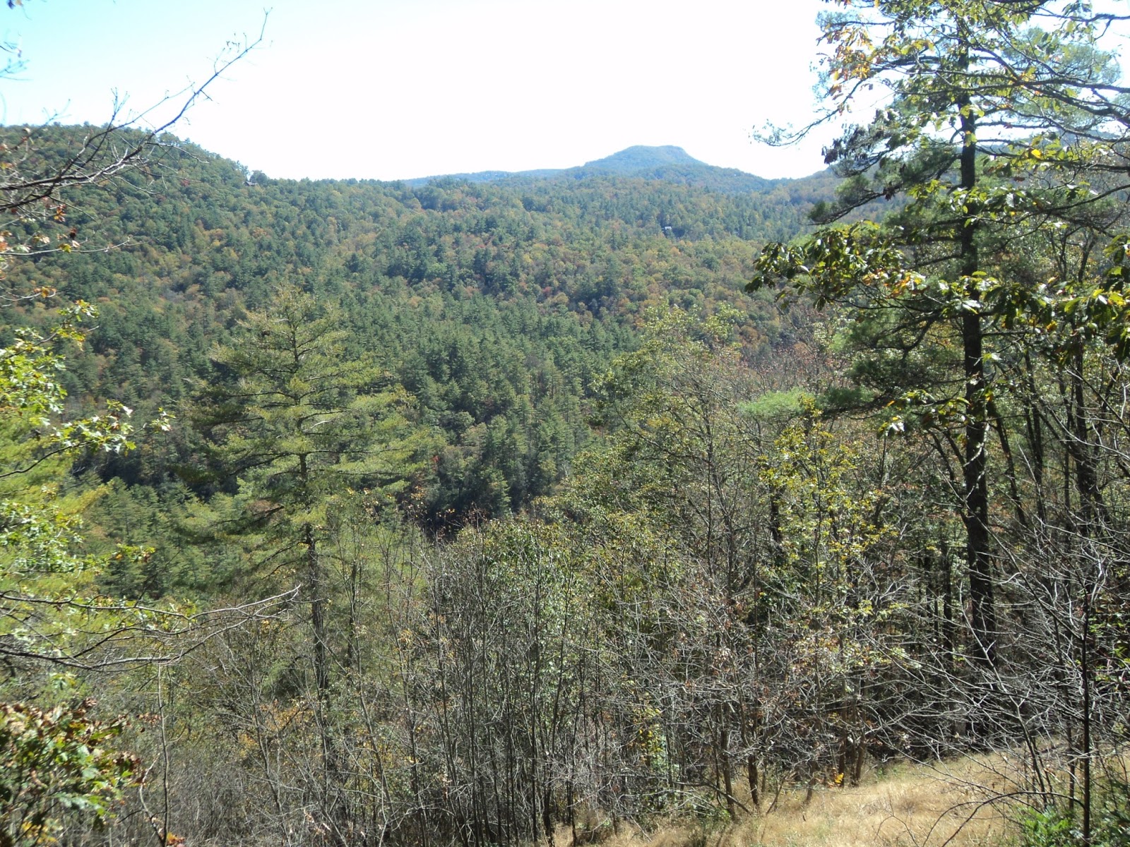 Parking Full Time Hiking Trail Journal Nantahala National Forest