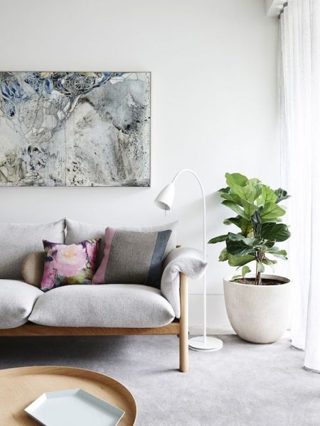 cosy neutral colored living room with a huge plant